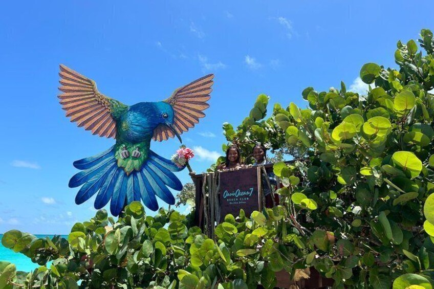 All Inclusive Pig Encounter, Snorkeling, Turtles, Lunch and Beach 4