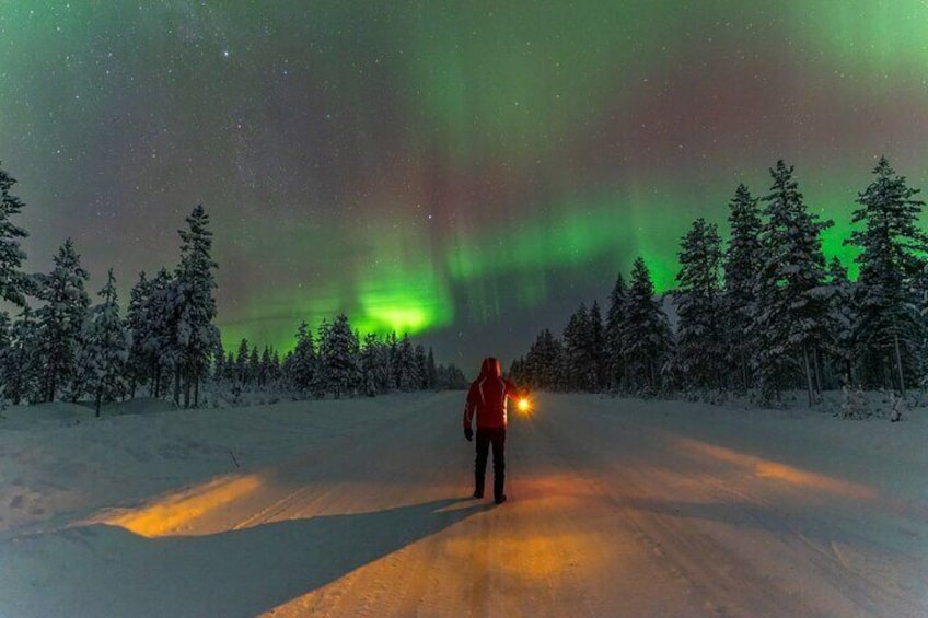A person standing on a snowy road under a night sky with green aurora borealis. 1