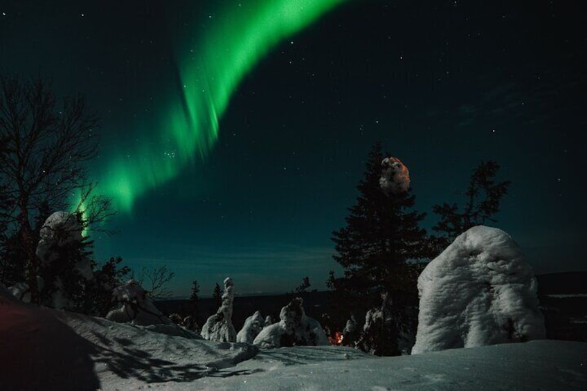 A snowy landscape with a large rock, trees, and the Northern Lights. 2
