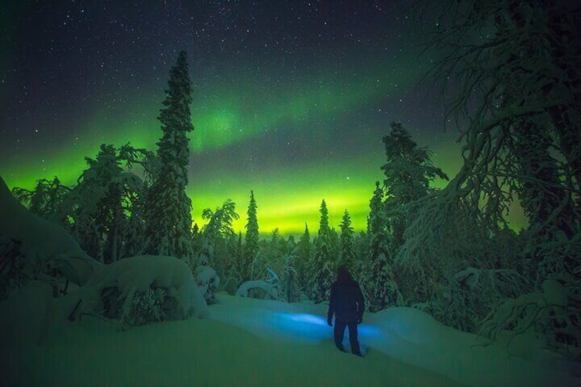 A person in a snowy forest under a green aurora. 3