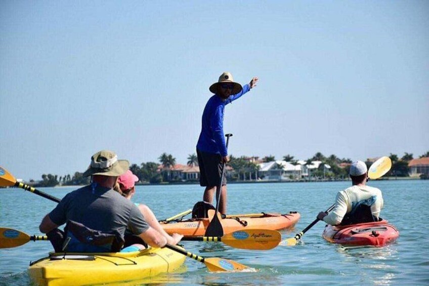 People kayaking on a calm body of water with houses in the background. 2