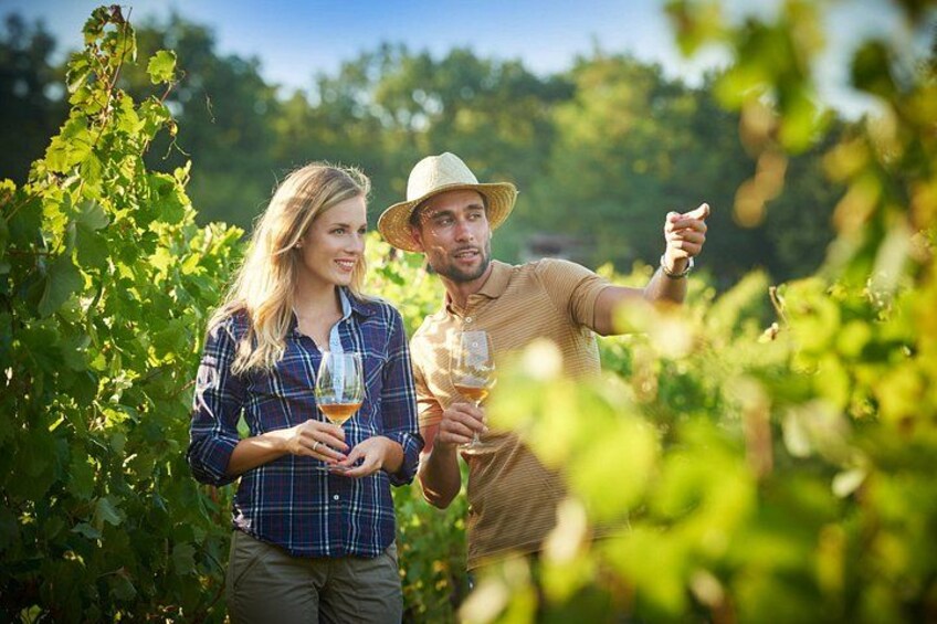Two people in a vineyard holding glasses of wine. 3