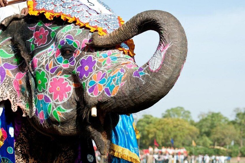 4 days Golden Triangle Tour 3