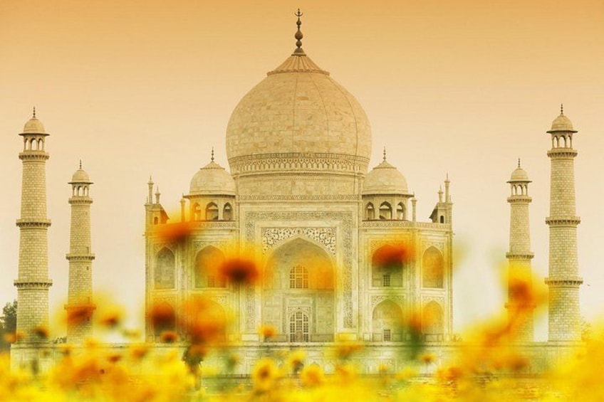 4 days Golden Triangle Tour 1