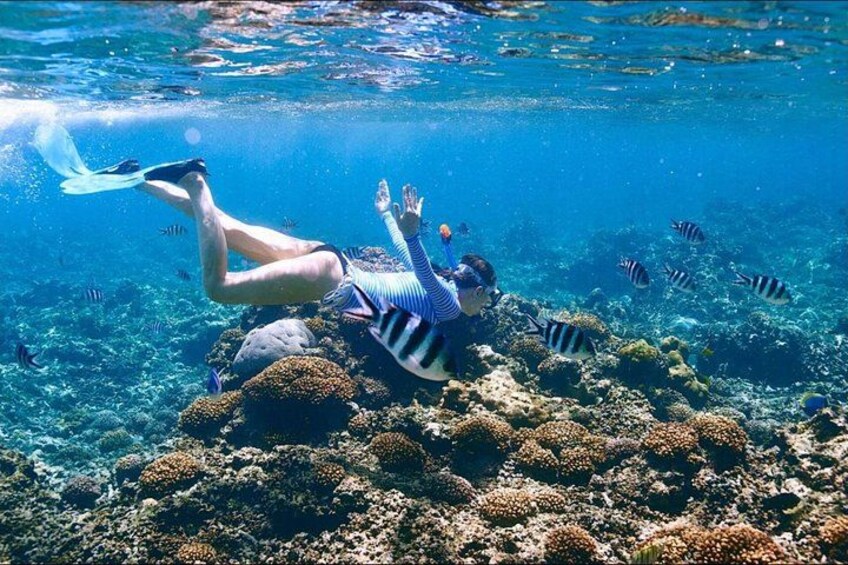 Una persona haciendo snorkel bajo el agua con peces y arrecifes de coral. 1