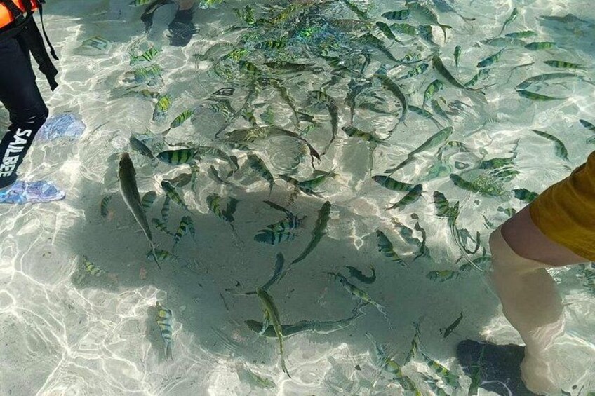 3 Khai Island Half Day Or Full Day 2