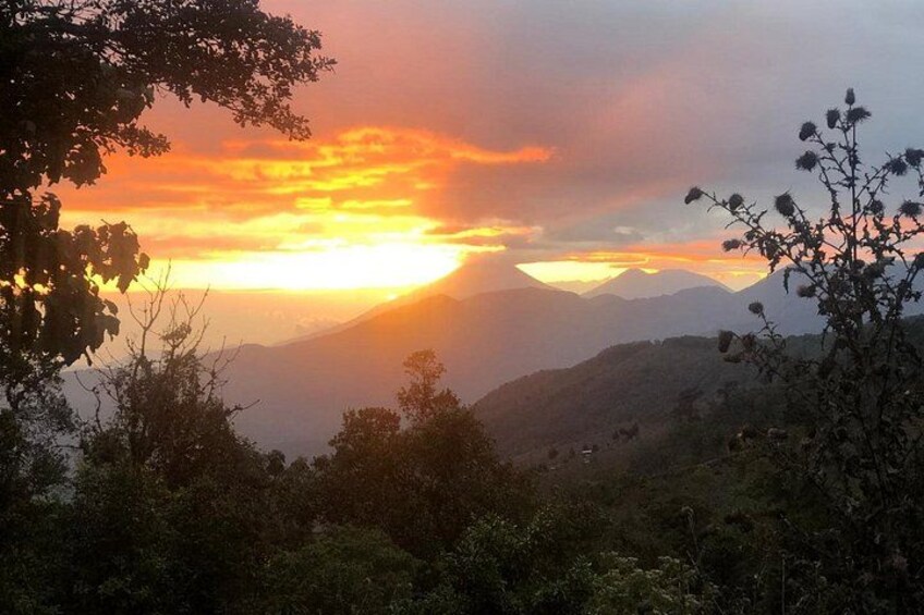 Puerto Quetzal Pacaya Volcano Horseback Ride with Lava Pizza 2