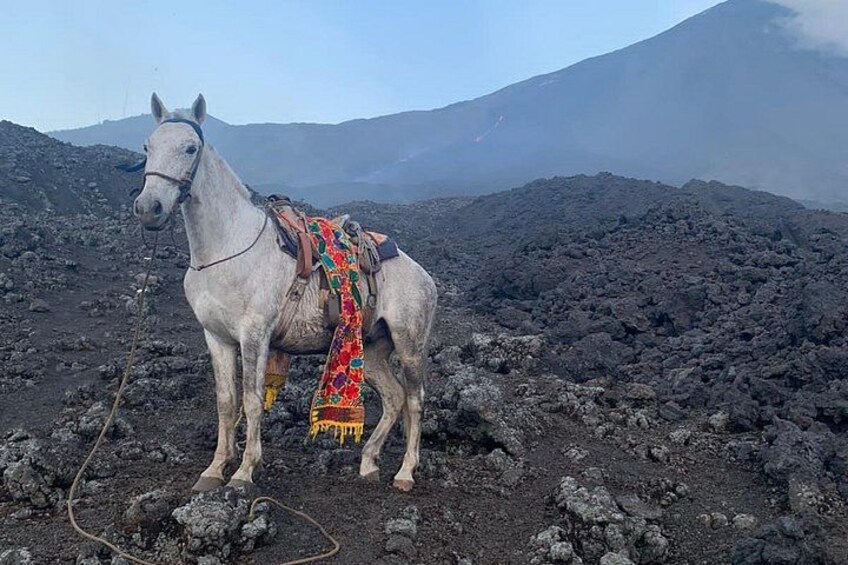 Puerto Quetzal Pacaya Volcano Horseback Ride with Lava Pizza 5
