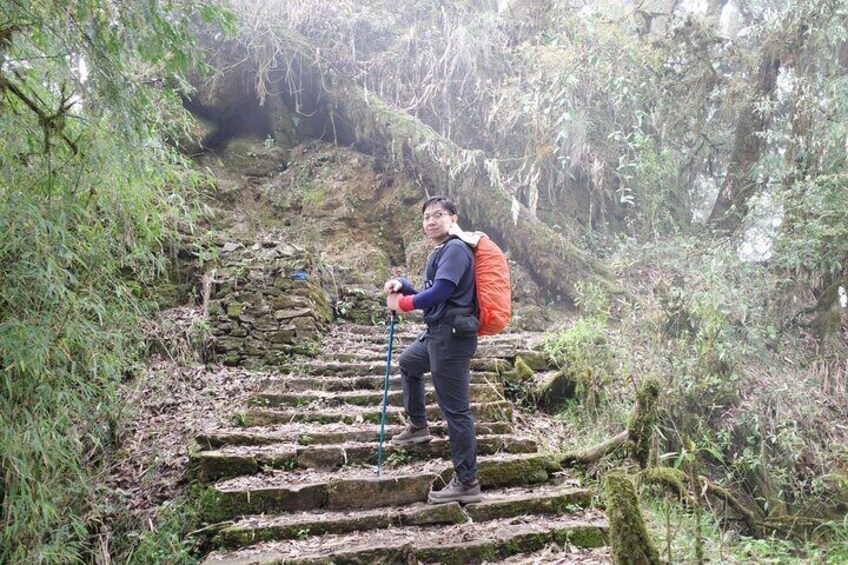 A person hiking on stone steps surrounded by greenery. 4