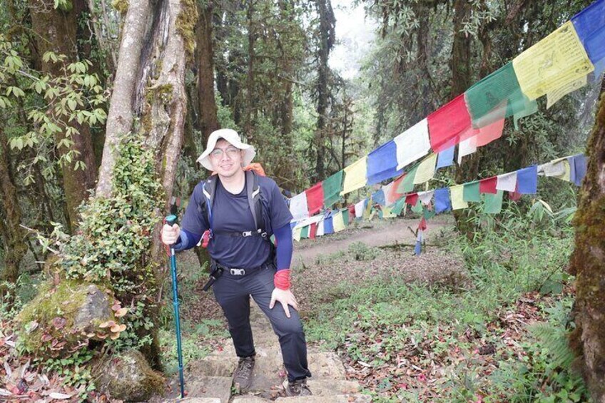 Family-Friendly Trekking: 3 Days Dhampus and Australian Camp 5
