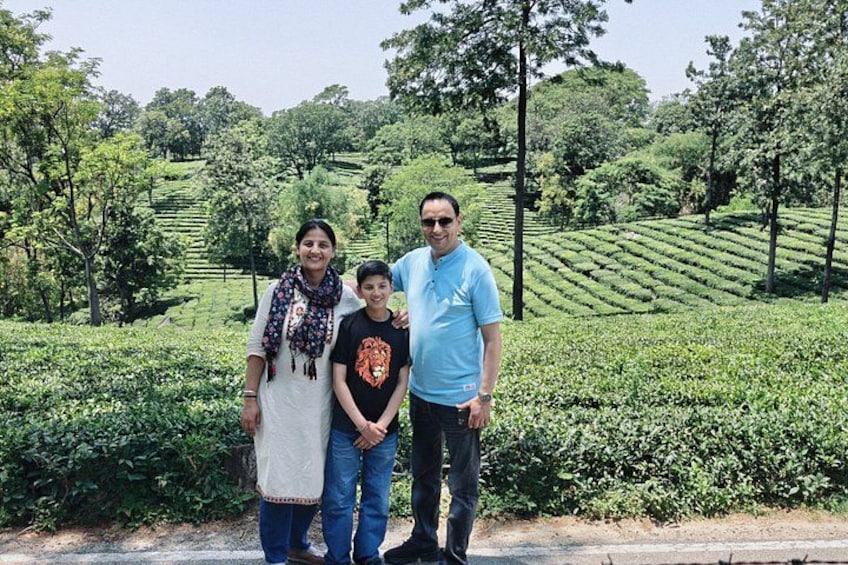 Three people standing in a tea plantation with terraced hills in the background. 3