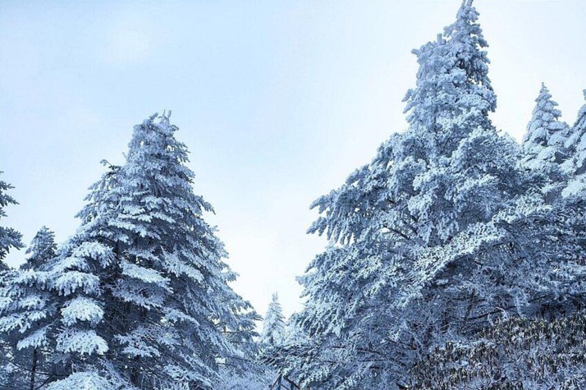 Jiaozi Snow Mountain Hiking Private Tour 2