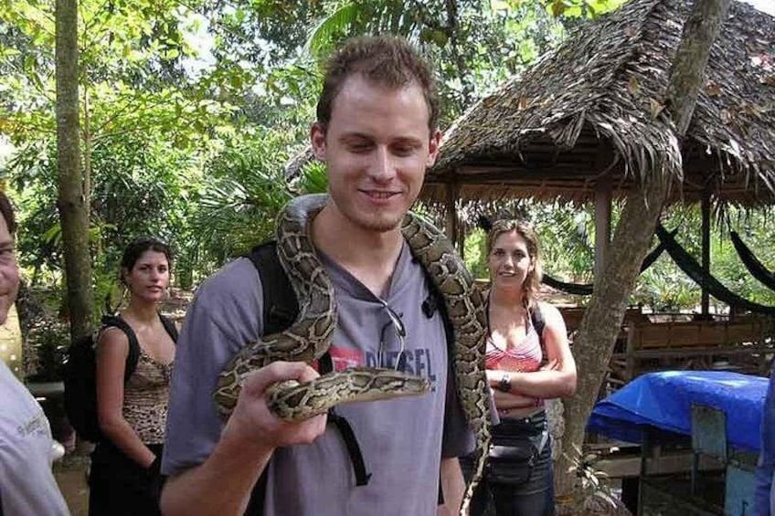 A person holding a large snake, with a thatched-roof structure and greenery in the background. 2