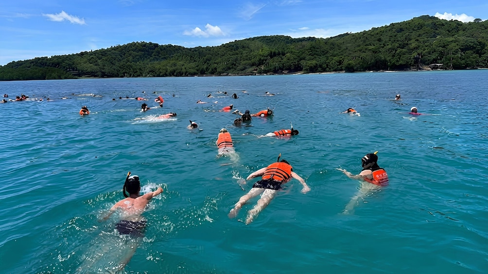 Koh Samui: Pink Dolphin, Snorkeling & Kayaking Tour 3