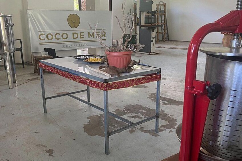 Una mesa con mantel floral, una planta en maceta y un recipiente metálico. 2