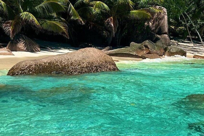 Un mar turquesa transparente con una roca grande en primer plano, una playa de arena y palmeras al fondo. 5