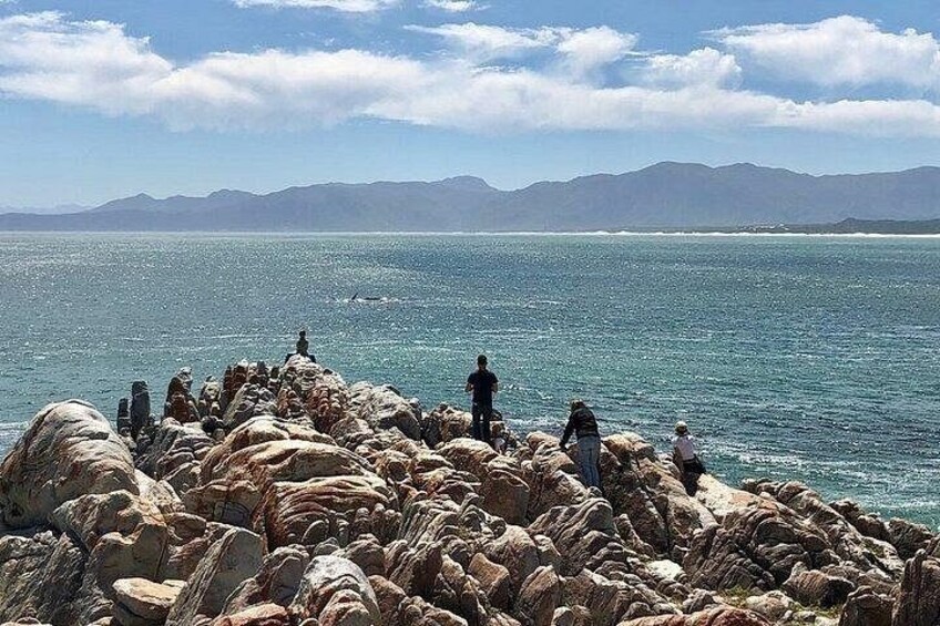 Cape Agulhas Tour 4