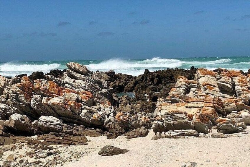 Cape Agulhas Tour 3