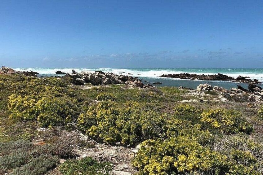 Cape Agulhas Tour 2