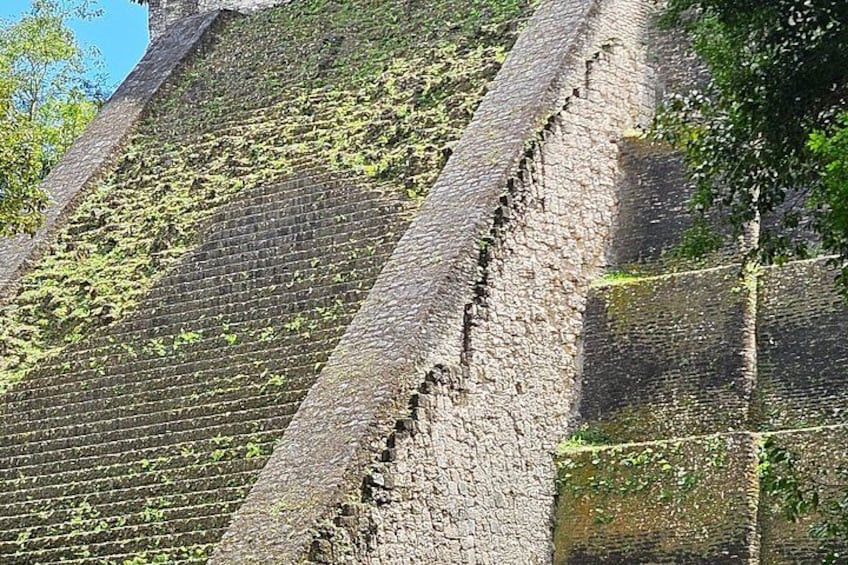 A brick wall with a staircase and greenery. 5