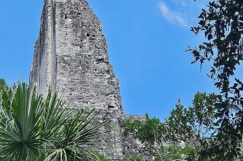 A tall, ancient stone structure with a rough texture, surrounded by lush greenery. 4