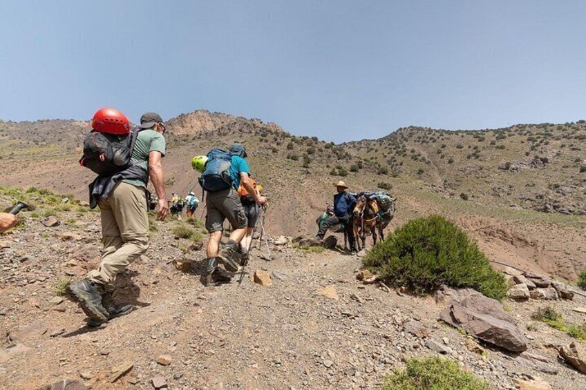 Hikers on a rocky trail with backpacks, a horse, and a mountainous landscape. 4