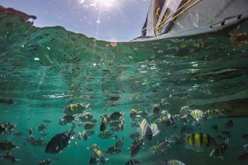 Phi Phi with Maya and Bamboo Island Day Trip by Speedboat 2