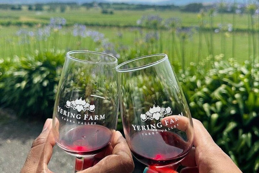 Cruise Ship Friendly Yarra Valley Wine Tour with Port Pickup 5