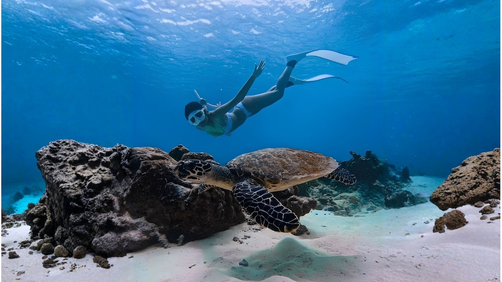 Tropical Treasures: Snorkeling & Kayaking in Angthong Marine Park 5