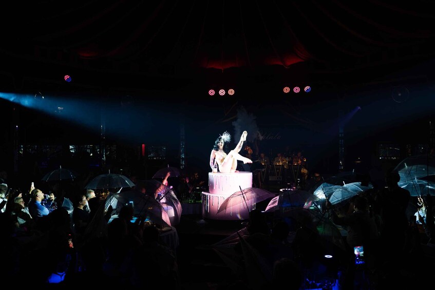 Picture 13 for Activity Mirage Vienna: Burlesque Ohlala – Dinner Show 5