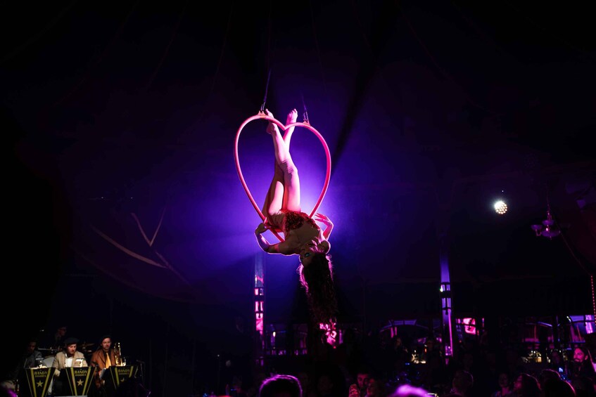 Picture 14 for Activity Mirage Vienna: Burlesque Ohlala – Dinner Show 4