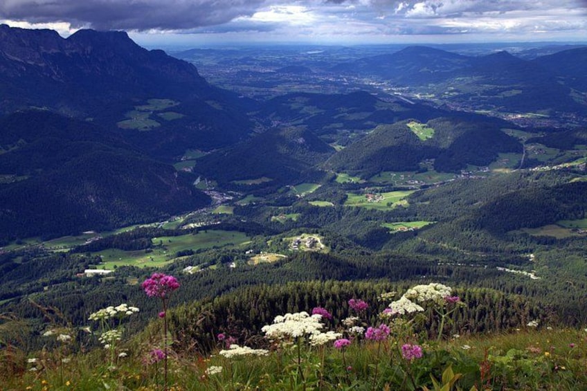 A mountainous landscape with a valley, dense forests, and wildflowers. 2