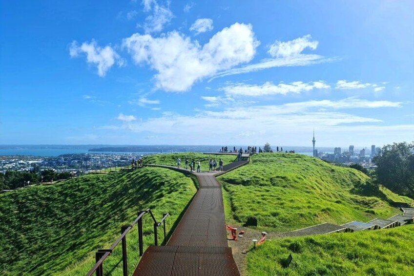 Discover Auckland Half Day Tour: From Harbour to Volcano 3