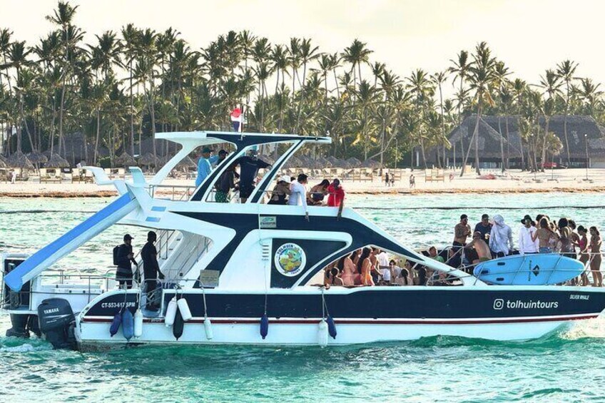 Un bateau avec des personnes à bord, près d’une plage bordée de palmiers. 1