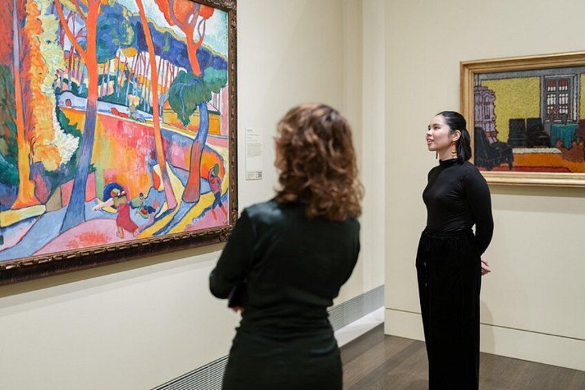 Museum of Fine Arts, Houston All Access Admission Ticket 4