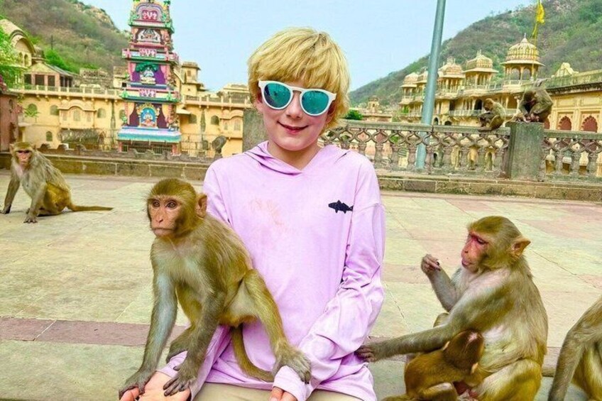 A person in pink sitting with monkeys in a courtyard with a temple in the background. 4