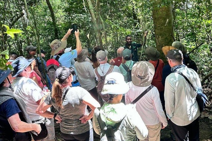 A group of people in a forested area, some wearing hats and carrying backpacks, gathered around a person who appears to be leading the group. 3