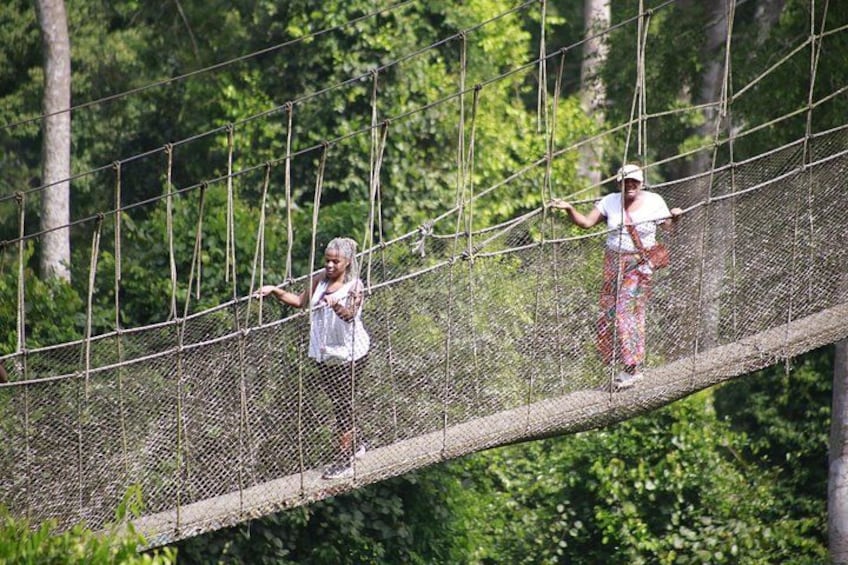 Two people walking on a suspension bridge in a forest. 4