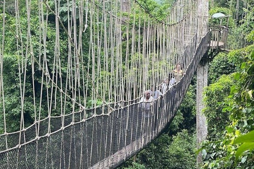 A suspension bridge in a forested area with people walking across. 2
