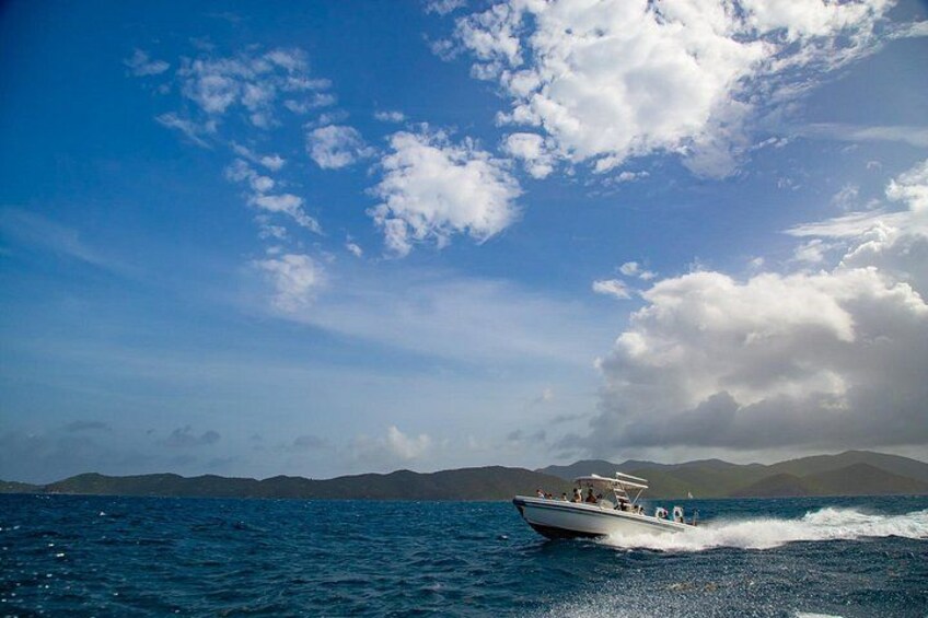 Private BVI Full Day Soggy Dollar and Willy T Tour 2