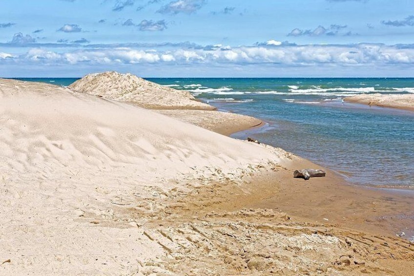 Indiana Dunes Lakeshore 5