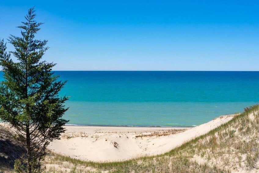 A beach with clear blue water, sandy dunes, and a coniferous tree. 3