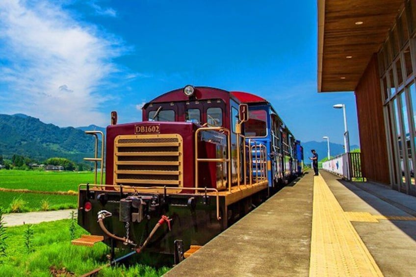 Fukuoka: Mount Aso Volcano, Kumamoto Castle, Grasslands Day Tour 3