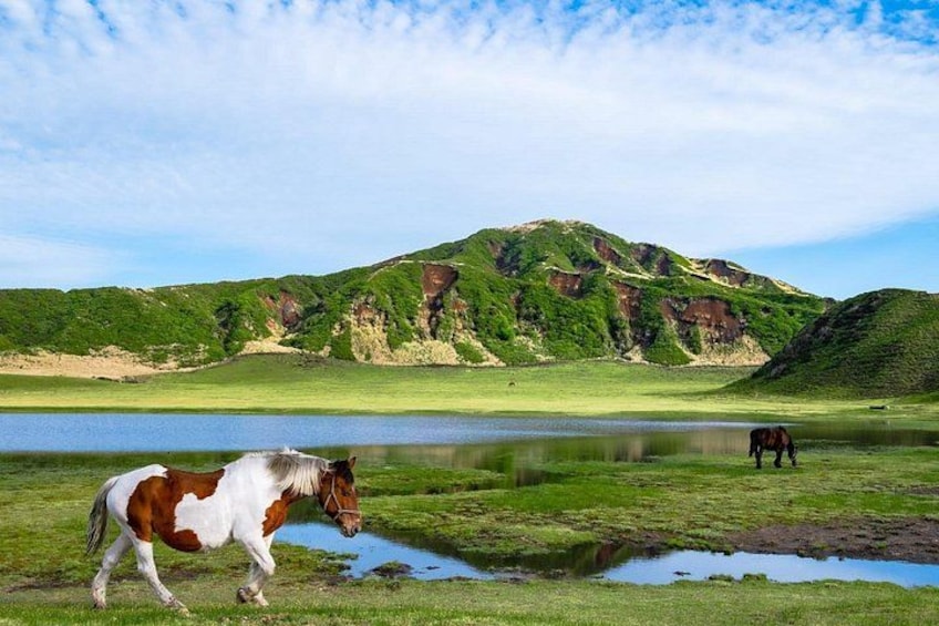 A horse grazing near a lake with green hills in the background. 4