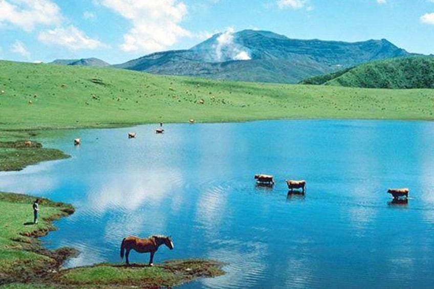 A lake with horses, a person, and a mountain in the background. 2