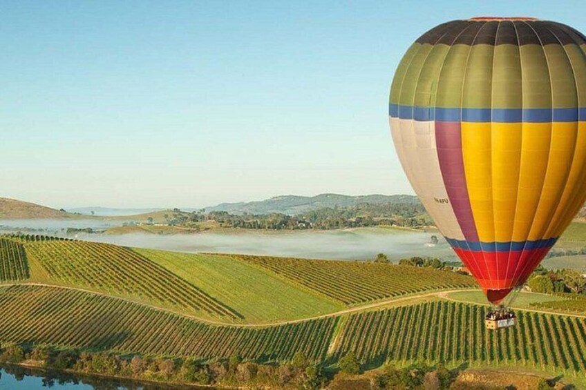 Escape the hustle and bustle of Melbourne on a private trip to the Yarra Valley. This tour promises an unforgettable combination of wine, food, and breathtaking scenery. 1