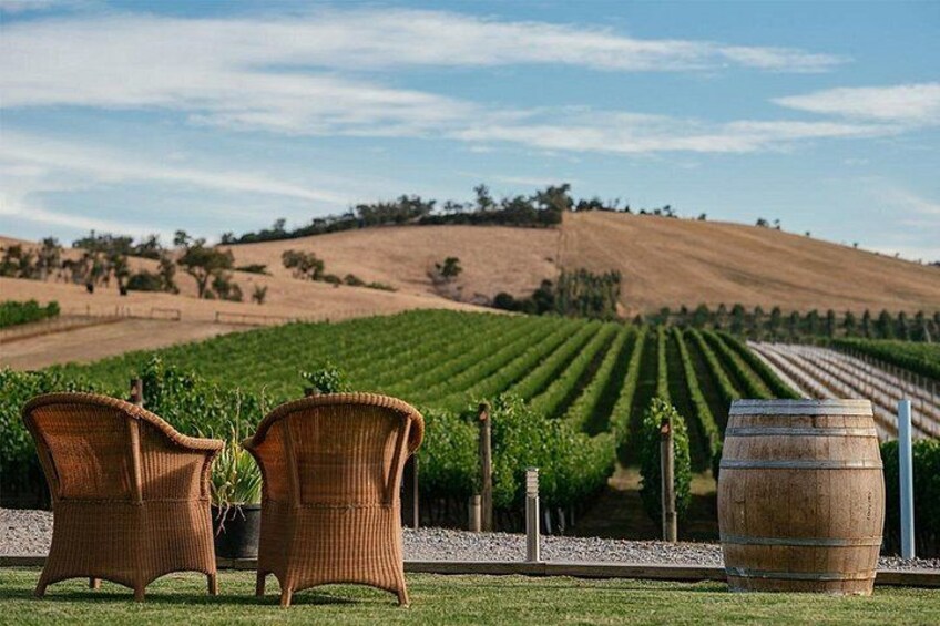 Melbourne Yarra Valley Wineries Explore Private Tour 5