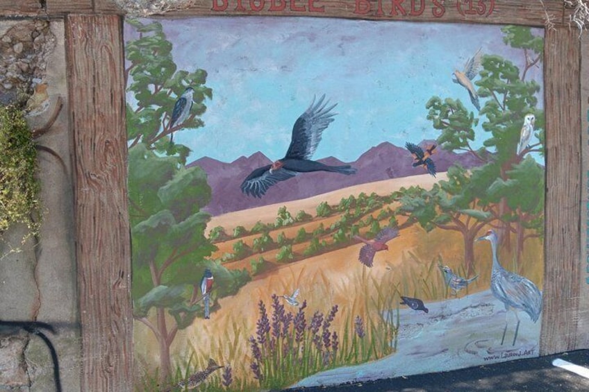 90 minute - Private Jeep Tour Bisbee Architecture History Scenic 5