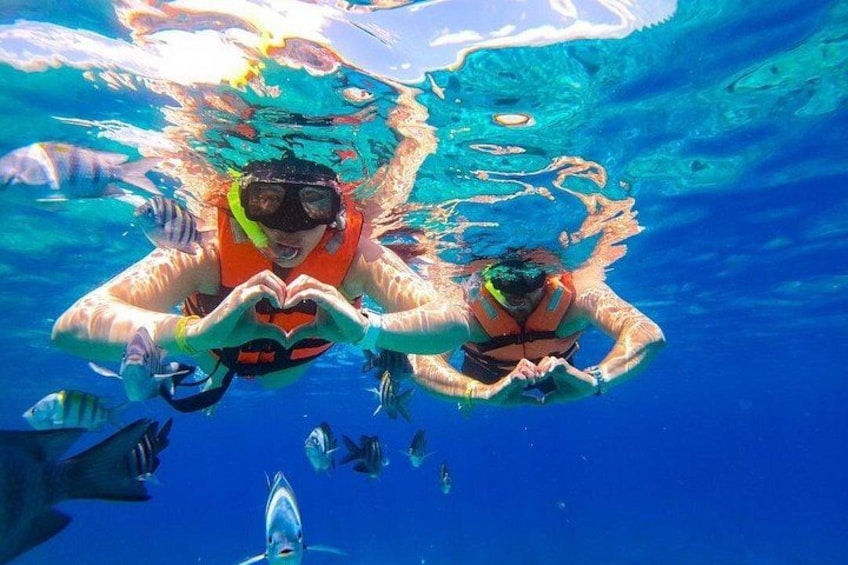 To personer snorkler under vand omgivet af fisk. 4