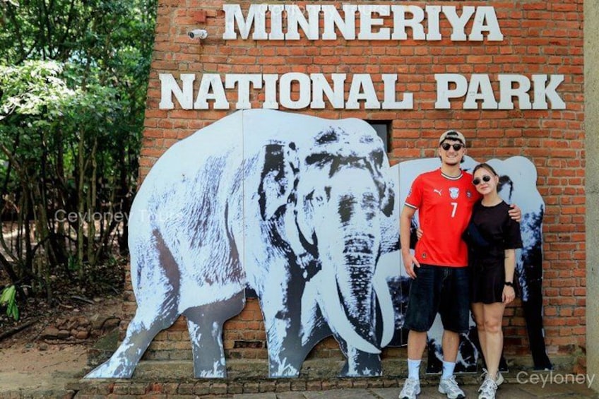 A brick wall with a large elephant mural and the text 'MINNERIYA NATIONAL PARK'. 2